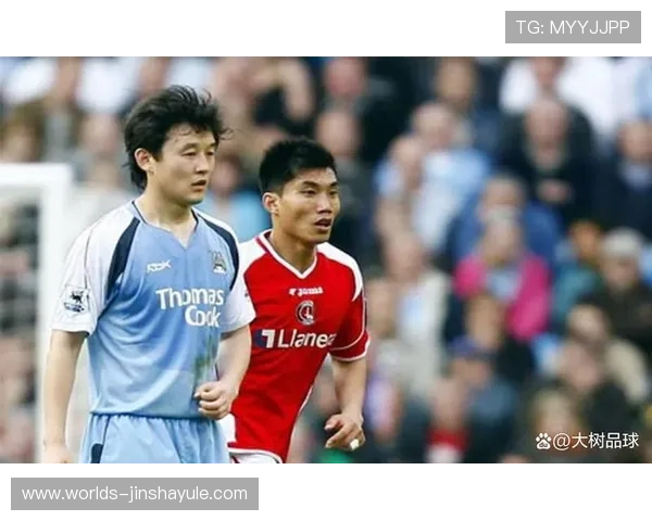 孙继海水晶宫效力期间的成长经历与对球队的贡献分析